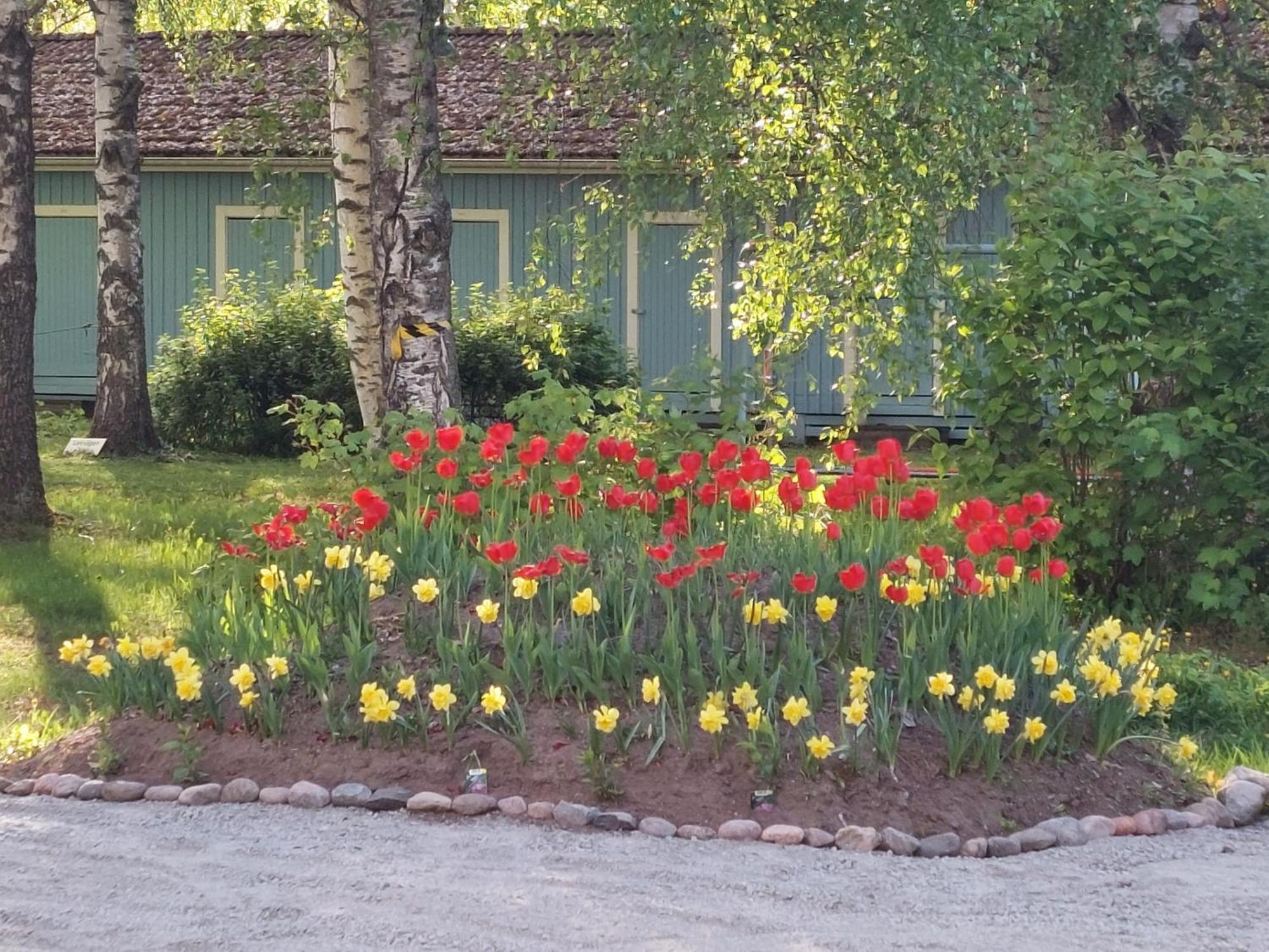 Taideniityn Huoneistot Aurinko Ja Niitty 1 - 4lle * Varkaus